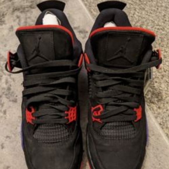 Jordan 4 Raptor - Picture 1 of 4